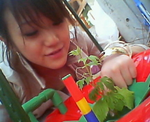 �z�[���n�C�|�j�J�@�ƒ�؉��j�K�E��